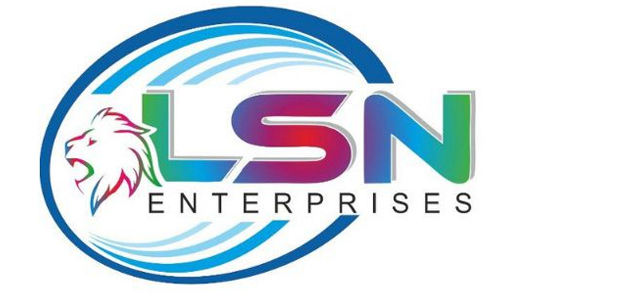 LSN ENTERPRISES